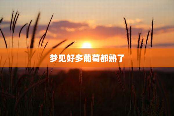梦见好多葡萄都熟了