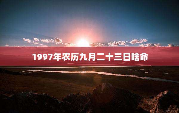 1997年农历九月二十三日啥命
