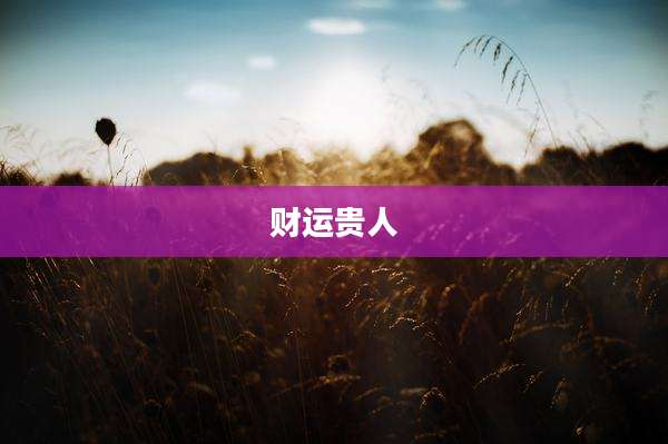 财运贵人