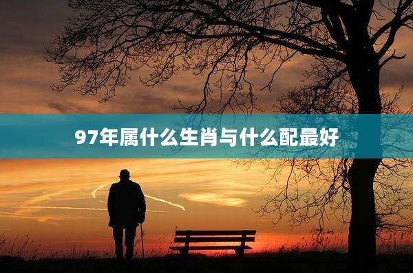 97年属什么生肖与什么配最好