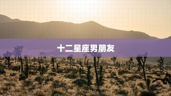 十二星座男朋友
