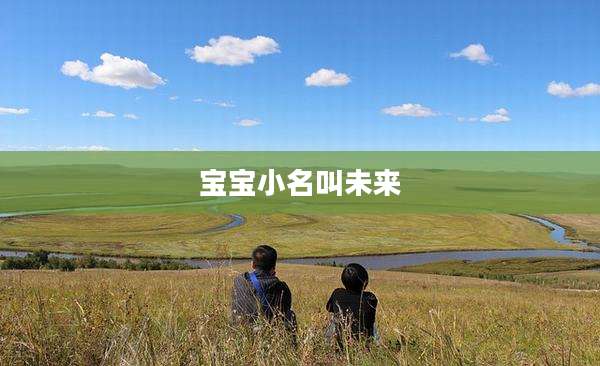 宝宝小名叫未来