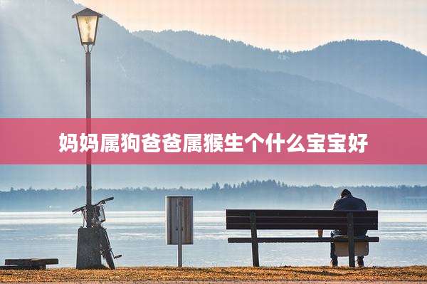 妈妈属狗爸爸属猴生个什么宝宝好