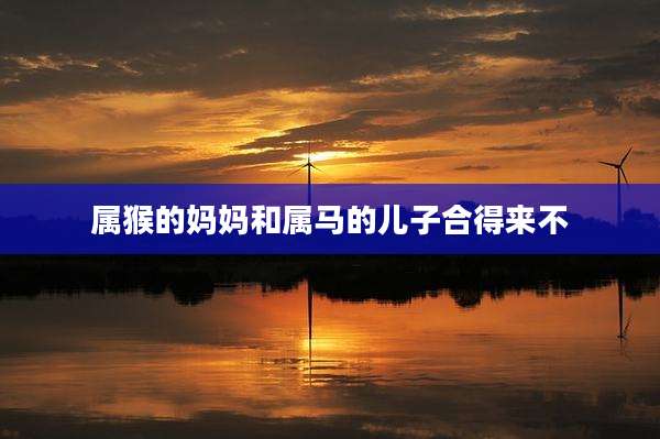 属猴的妈妈和属马的儿子合得来不