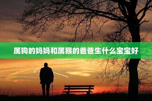 属狗的妈妈和属猴的爸爸生什么宝宝好