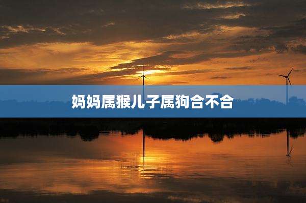 妈妈属猴儿子属狗合不合