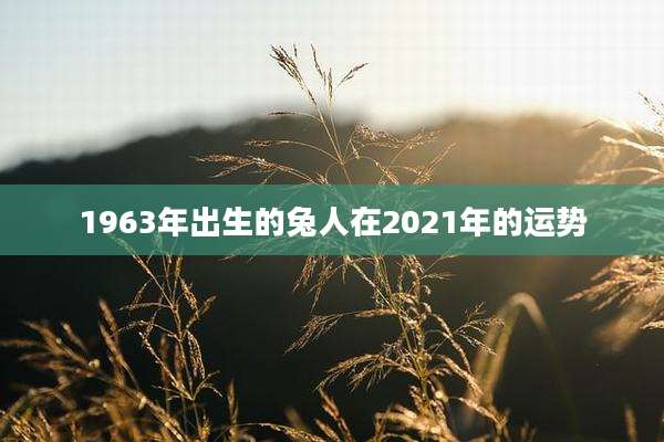 1963年出生的兔人在2021年的运势