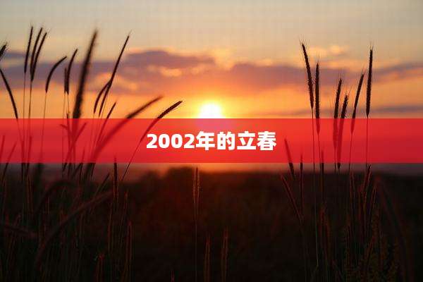 2002年的立春
