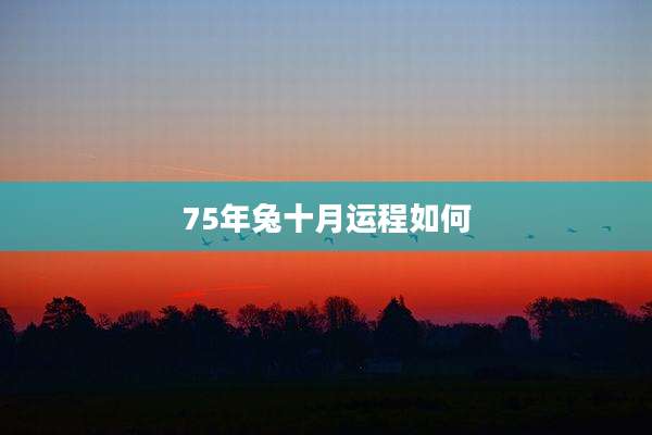 75年兔十月运程如何