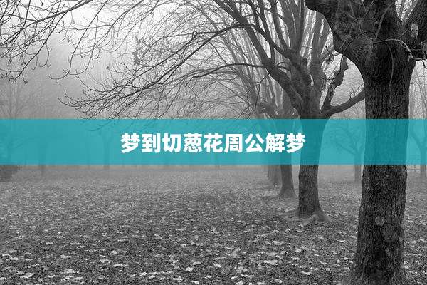 梦到切葱花周公解梦
