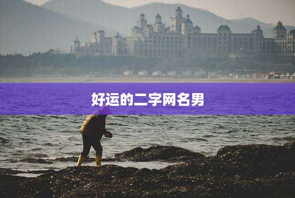 好运的二字网名男