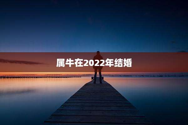 属牛在2022年结婚