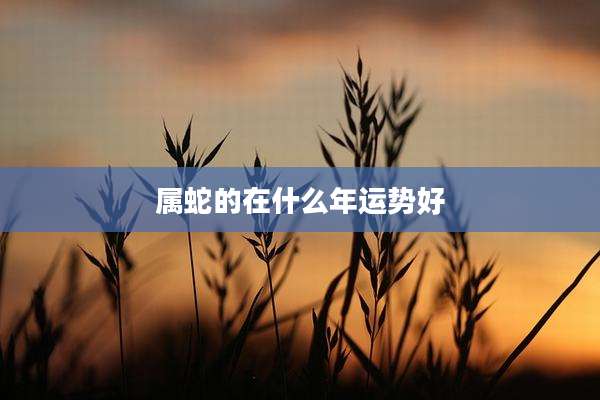 属蛇的在什么年运势好