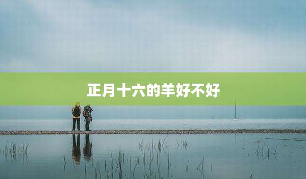 正月十六的羊好不好