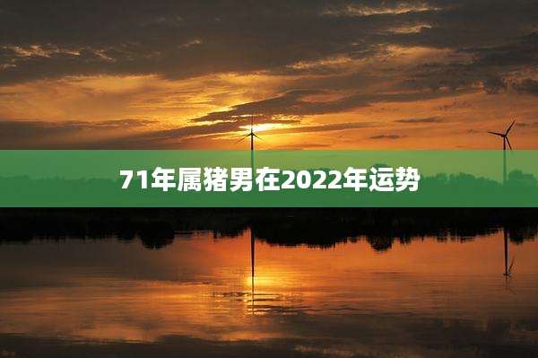 71年属猪男在2022年运势
