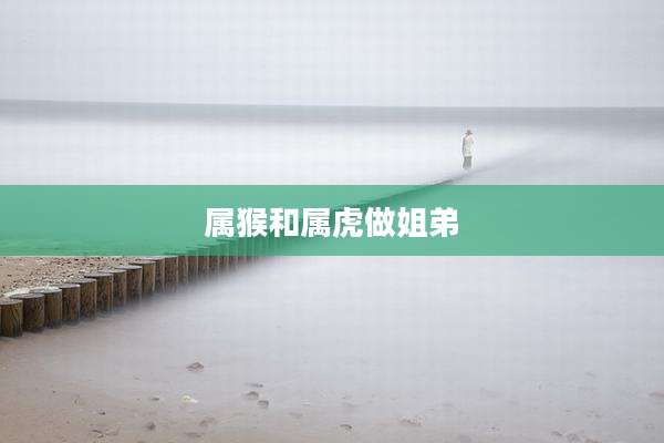 属猴和属虎做姐弟