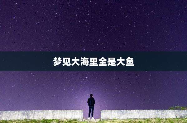 梦见大海里全是大鱼