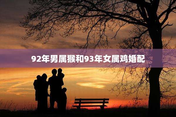 92年男属猴和93年女属鸡婚配