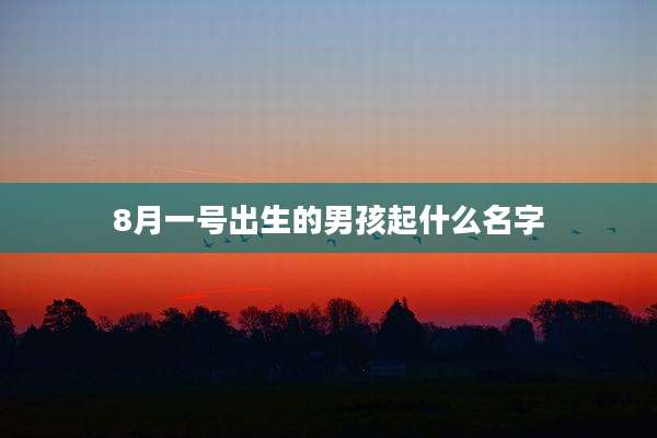 8月一号出生的男孩起什么名字