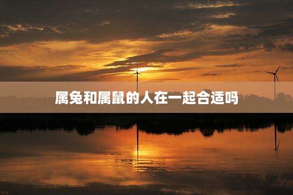 属兔和属鼠的人在一起合适吗