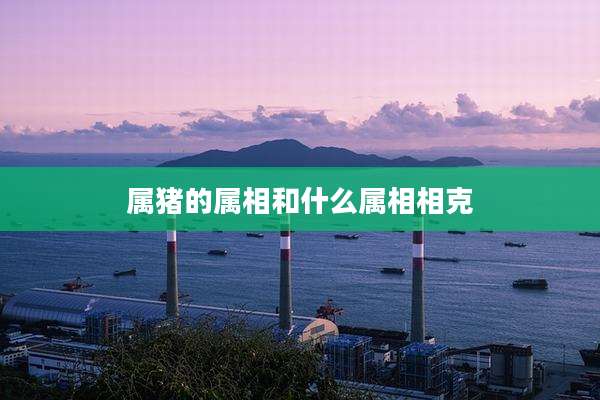 属猪的属相和什么属相相克
