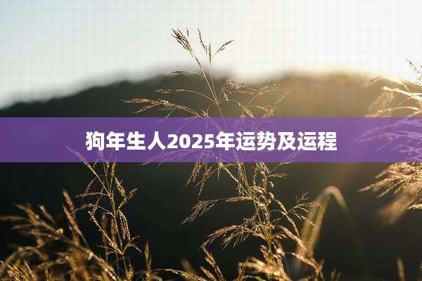 狗年生人2025年运势及运程