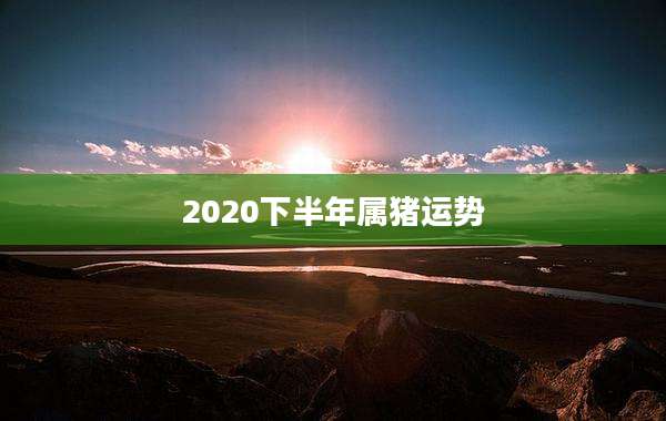 2020下半年属猪运势