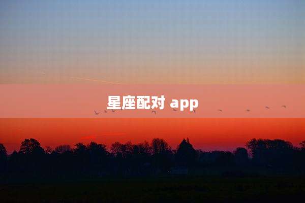 星座配对 app