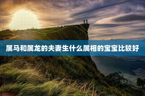 属马和属龙的夫妻生什么属相的宝宝比较好