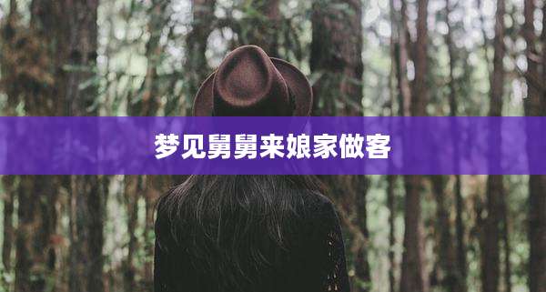 梦见舅舅来娘家做客
