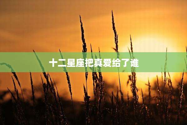 十二星座把真爱给了谁