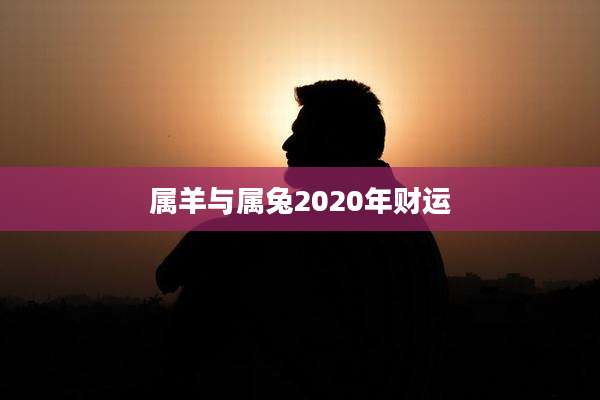 属羊与属兔2020年财运