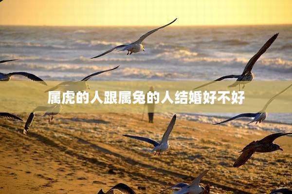 属虎的人跟属兔的人结婚好不好