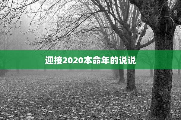 迎接2020本命年的说说