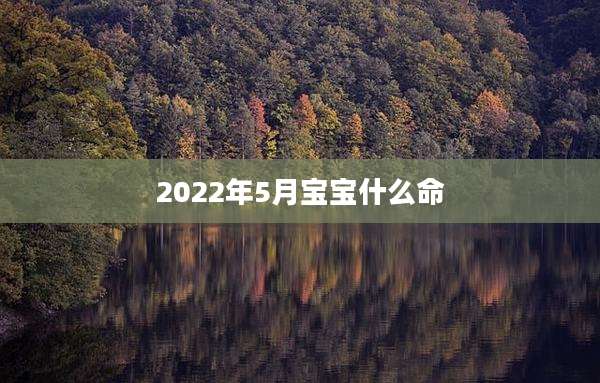2022年5月宝宝什么命