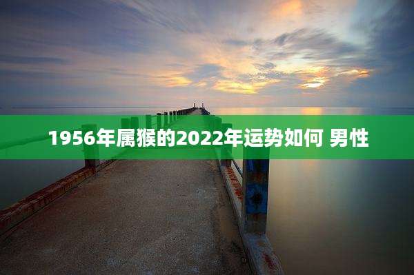 1956年属猴的2022年运势如何 男性