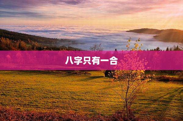 八字只有一合