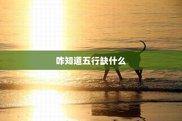 咋知道五行缺什么
