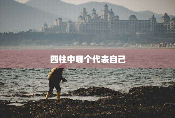 四柱中哪个代表自己