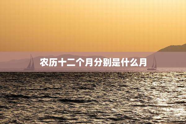 农历十二个月分别是什么月
