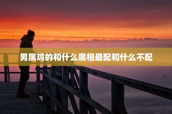 男属鸡的和什么属相最配和什么不配