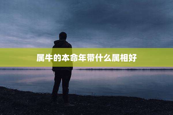 属牛的本命年带什么属相好
