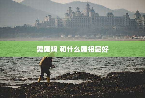 男属鸡 和什么属相最好