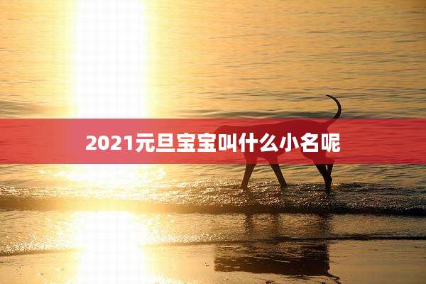 2021元旦宝宝叫什么小名呢