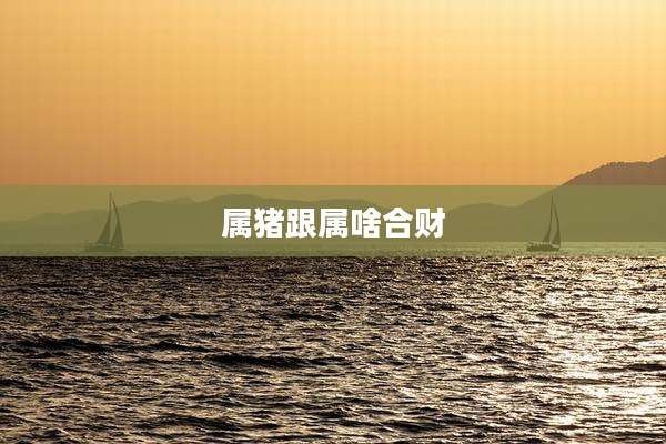 属猪跟属啥合财