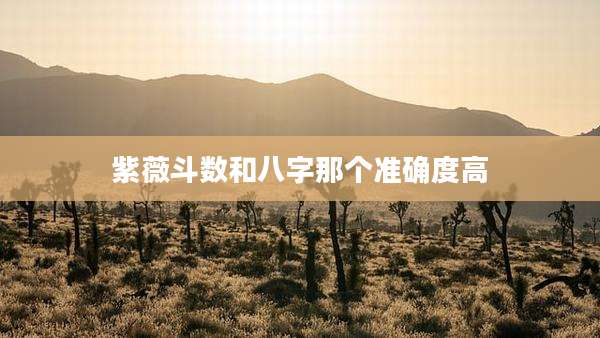 紫薇斗数和八字那个准确度高