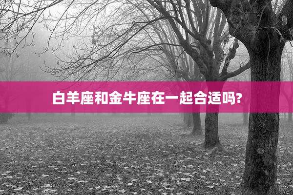 白羊座和金牛座在一起合适吗?