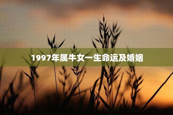1997年属牛女一生命运及婚姻