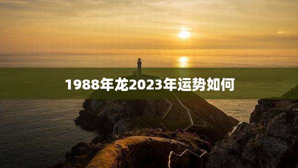 1988年龙2023年运势如何