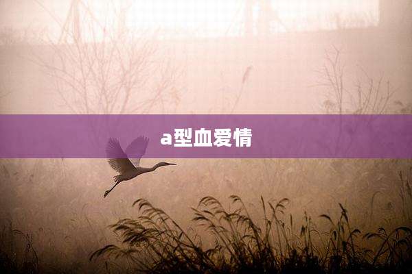 a型血爱情